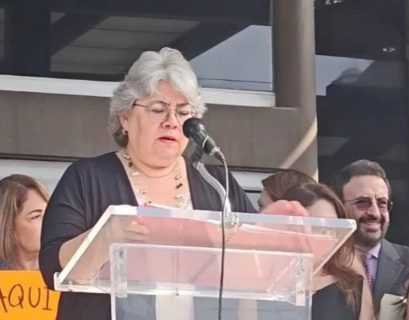 Felisa Díaz Ardaz. Renuncias. Reforma Poder judicial