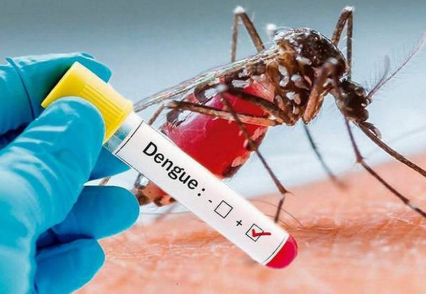 Dengue - Justicia Regia