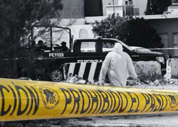 Feminicidios En Nuevo León - Justicia Regia Feminicidios En Nuevo León Homicidios Dolosos Violencia Contra La Mujer - Justicia Regia