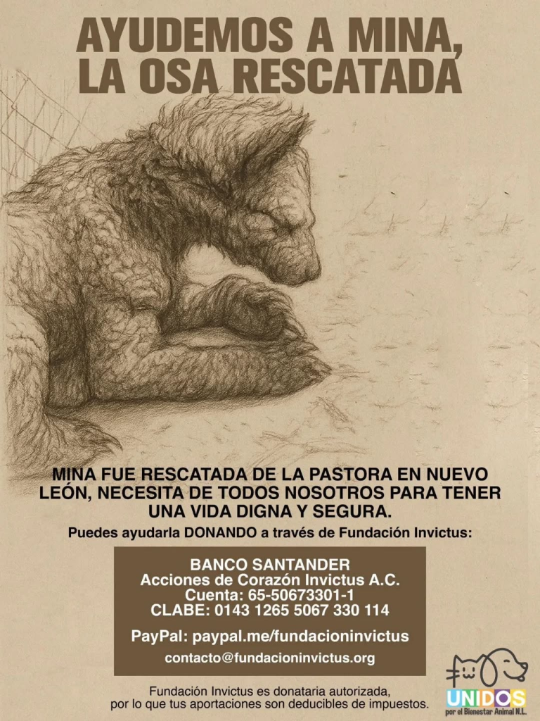 La Osa Mina Ha Despertado La Indignación Y La Solidaridad.
