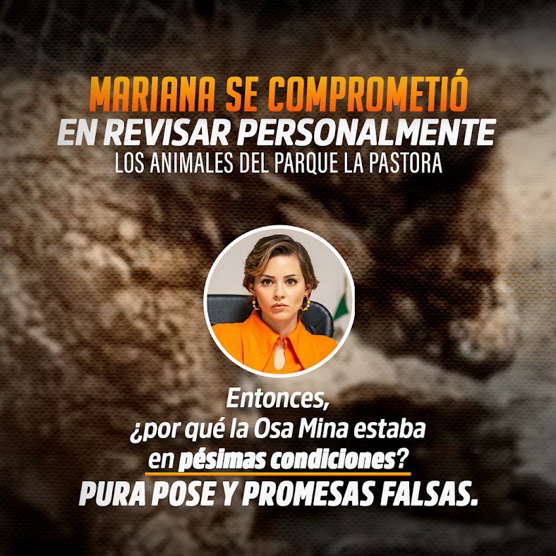 Image - Justicia Regia Mariana Rodríguez No Cumplió Su Palabra. El Caso De La Osa Mina La Ha Evidenciado.