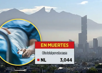 Es Nl Top 5 De Muertes Por Aire Sucio Justicia Regia - Justicia Regia