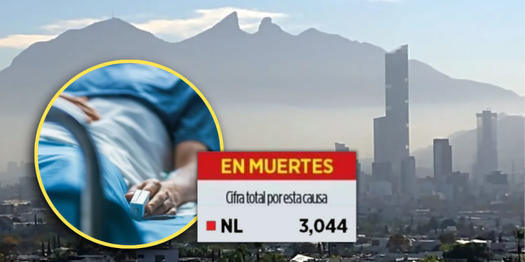 Es Nl Top 5 De Muertes Por Aire Sucio Justicia Regia - Justicia Regia