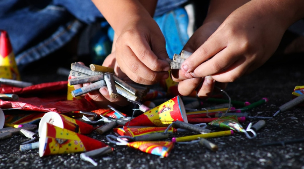 Efectos-de-la-pirotecnia-medio-ambiente-año-nuevo-salud-humana-animales-domésticos