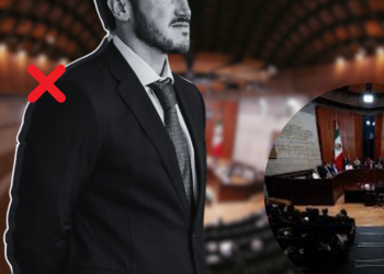 Man in a Suit with a Bold Red X Beside Him, Overlaid on a Blurred Parliamentary Chamber Image (indicating Exclusion or Disapproval). - Justicia Regia