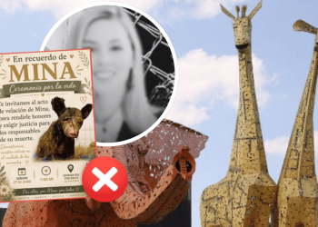 Negligencia En La Pastora - Justicia Regia