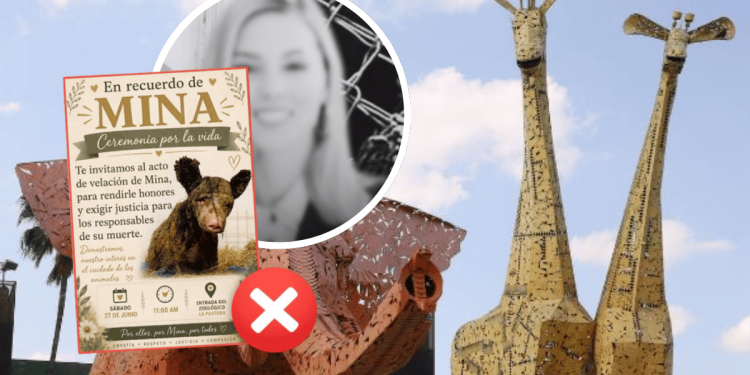 Negligencia En La Pastora - Justicia Regia