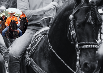Main Scene Shows a Black Horse and Rider in the Foreground; a Circular Inset Features Cowboys on Horses Wearing Orange Shirts. - Justicia Regia